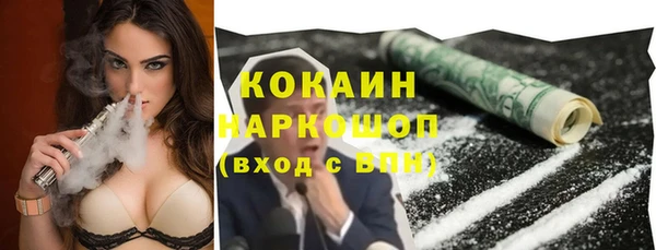 хмурый Белокуриха