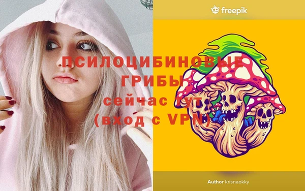 хмурый Белокуриха