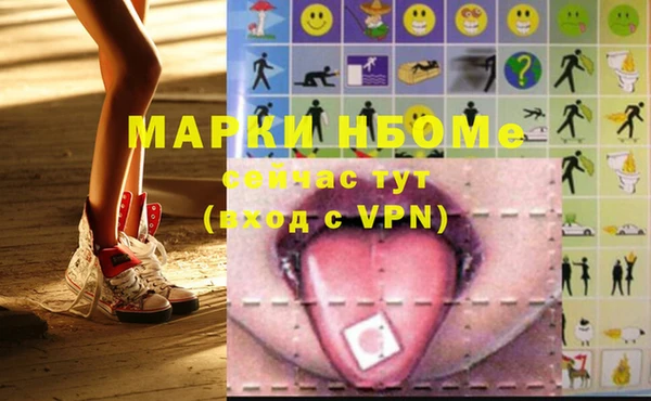 хмурый Белокуриха