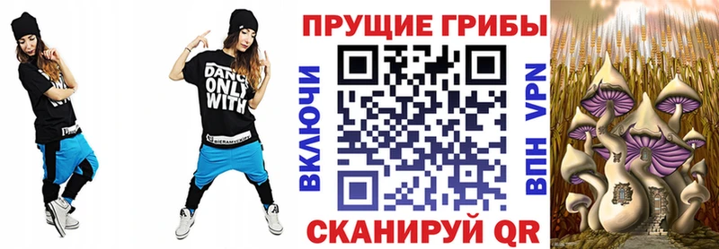 это состав  даркнет сайт  Костомукша  Псилоцибиновые грибы Psilocybe 
